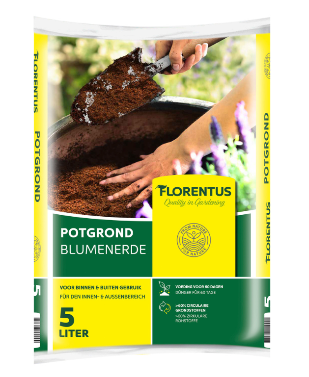 Florentus-potgrond
